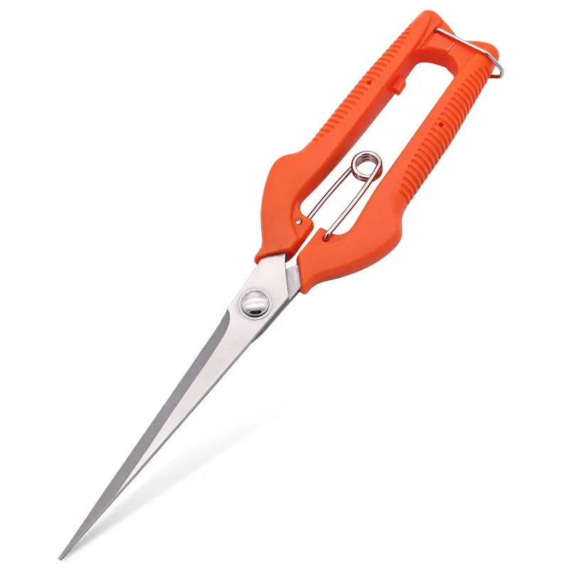 Furniture Joining Hardware - Grape Scissors Pruning Shears Garden Tool