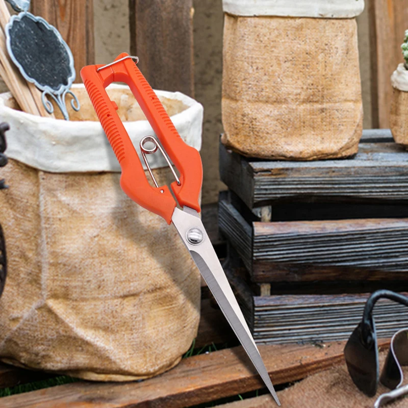 Grape Scissors Pruning Shears  - đánh giá và giá Furniture Joining Hardware