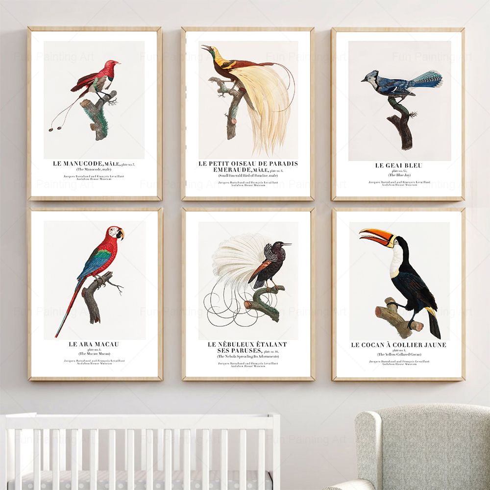 Vintage Paradise Bird Wall Art - đánh giá và giá Furniture Paradise & Hardware Ghaziabad