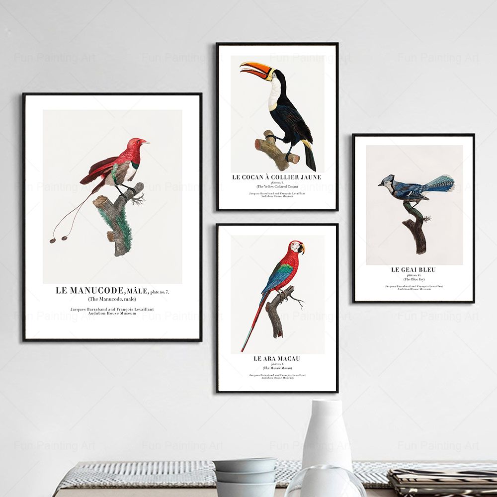 Vintage Paradise Bird Wall Art - đánh giá và giá Furniture Paradise & Hardware Ghaziabad