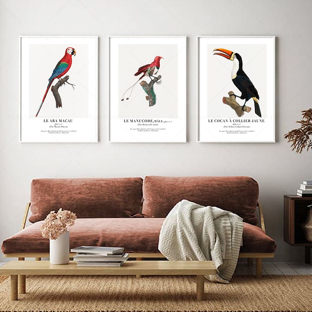 Vintage Paradise Bird Wall Art - đánh giá và giá Furniture Paradise & Hardware Ghaziabad