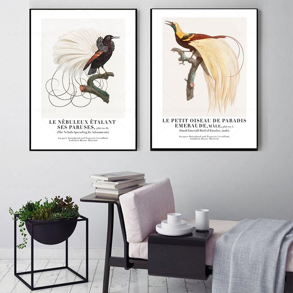 Vintage Paradise Bird Wall Art - đánh giá và giá Furniture Paradise & Hardware Ghaziabad